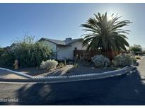 Quaint single story home with desert landscaping, a fire hydrant, and mature palm tree on a sunny day at 433 S 113Th Pl, Mesa, AZ 85208