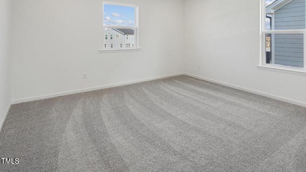 Photo #15