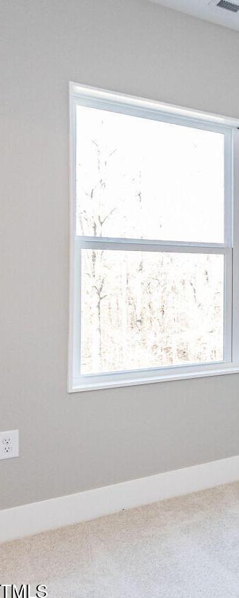 Photo #27