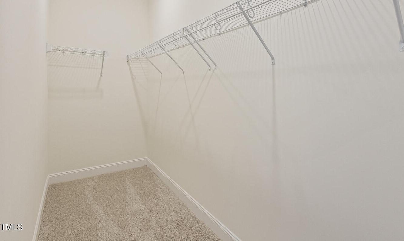 Photo #42