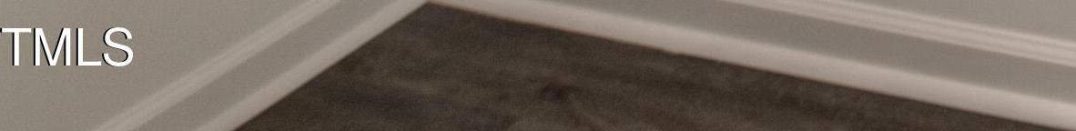 Photo #11