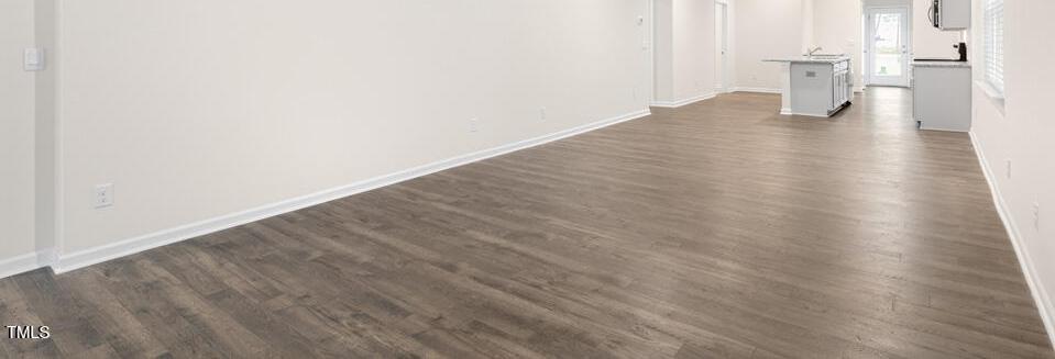 Photo #12