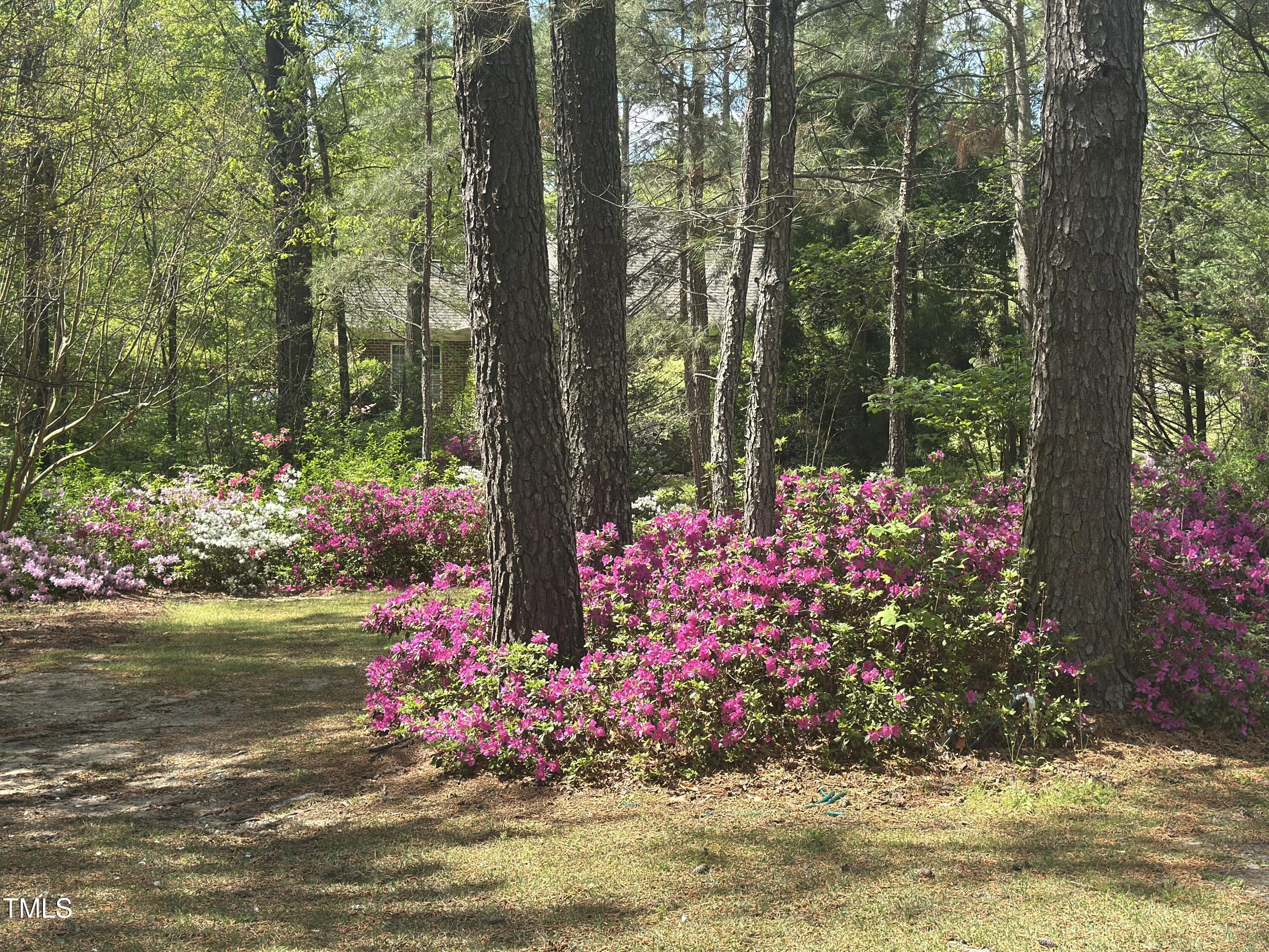 Photo #23