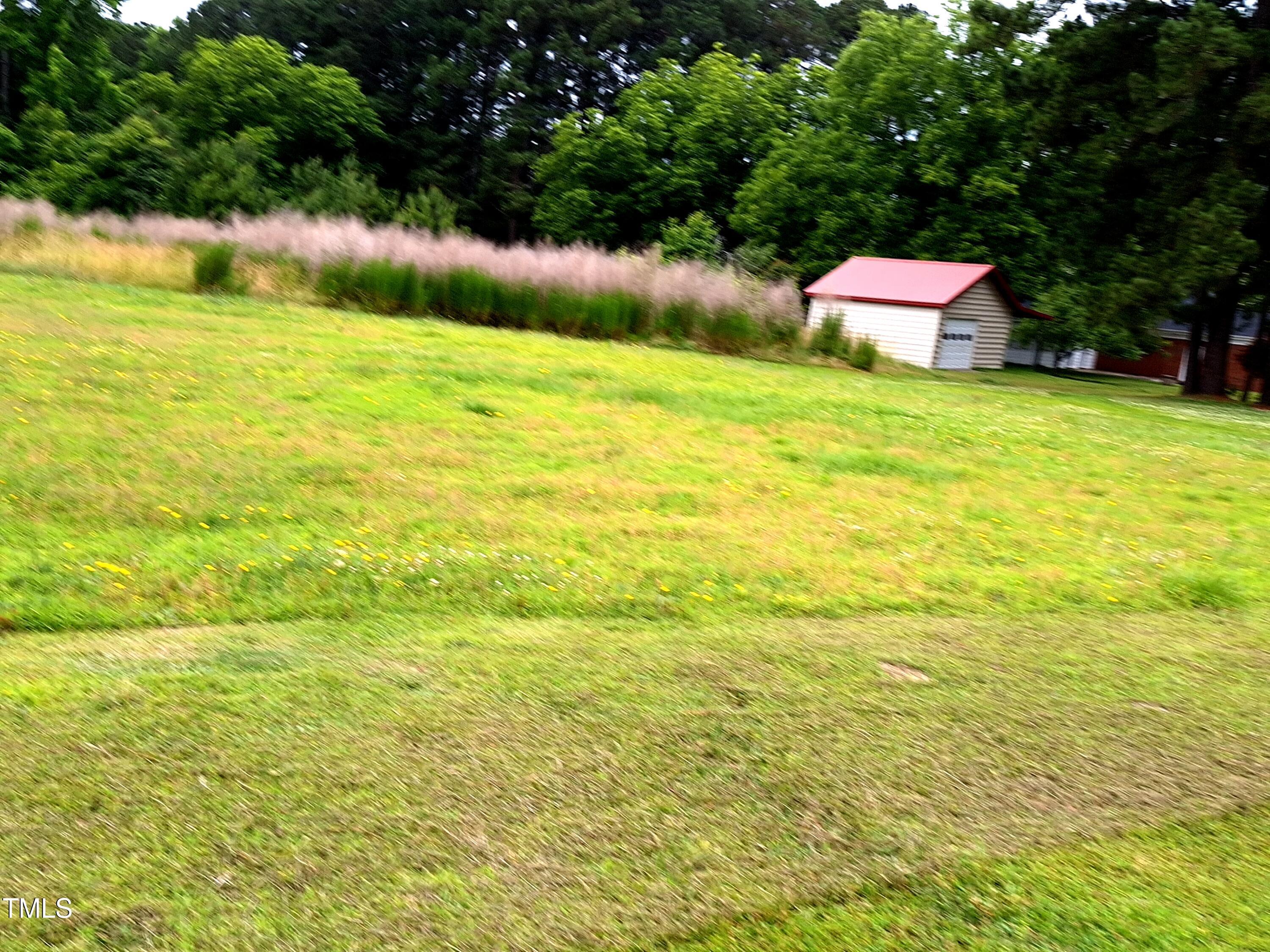 Photo #16