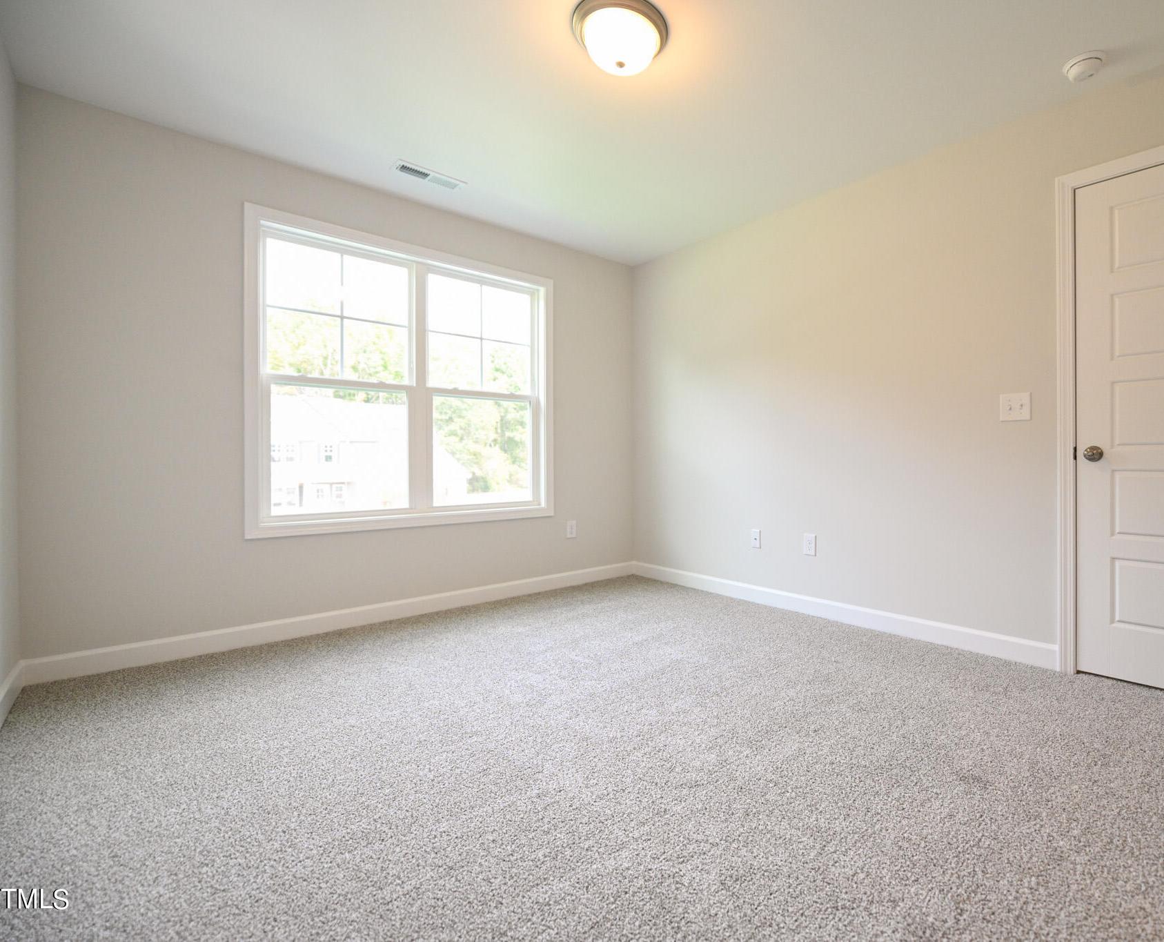 Photo #42