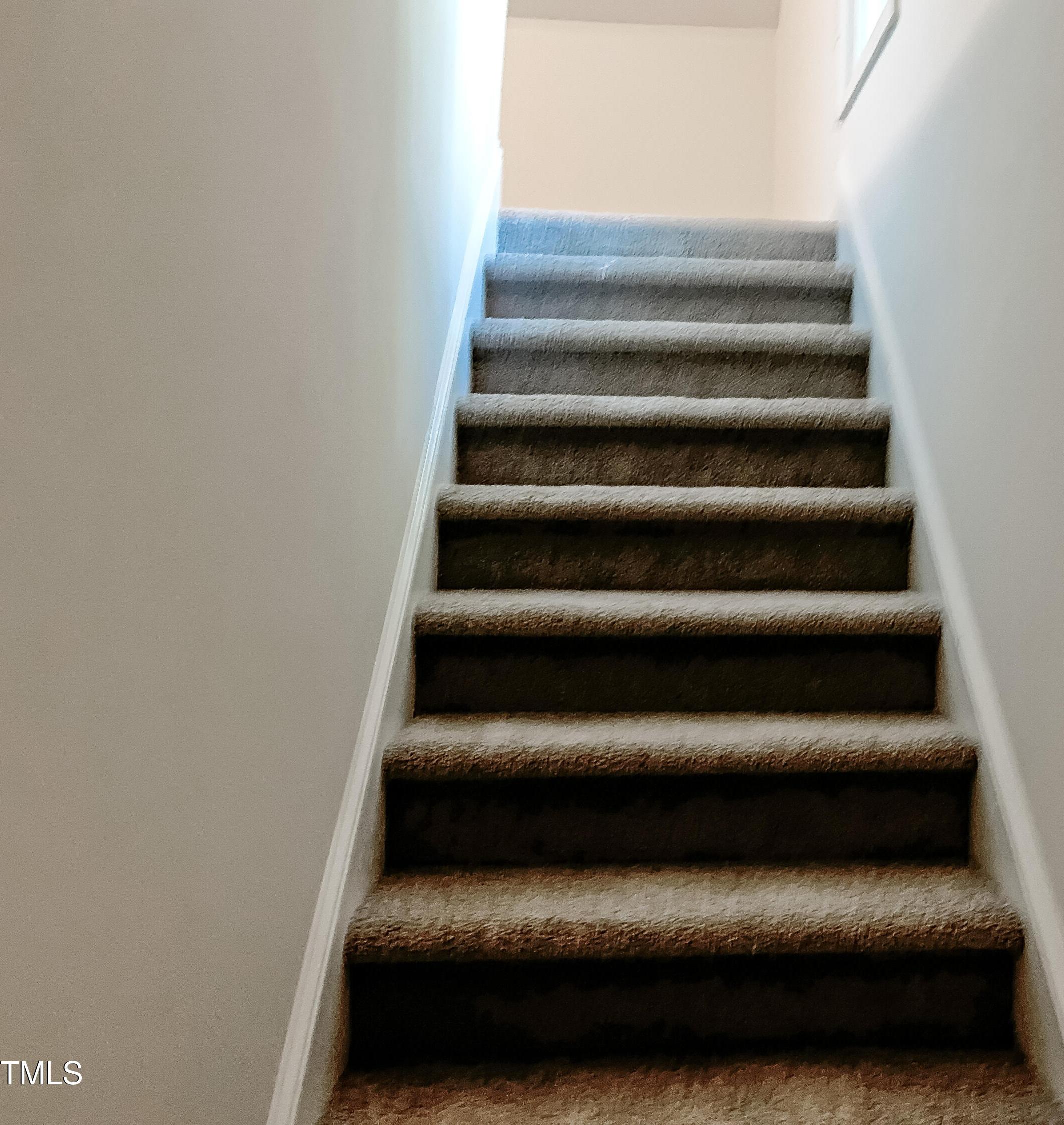 Photo #12