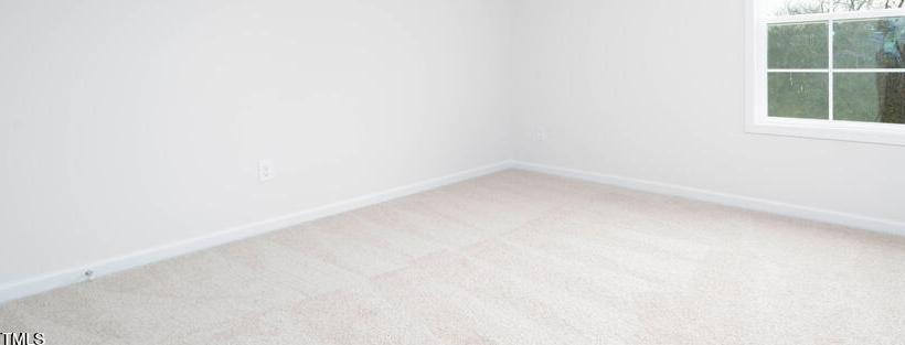 Photo #15