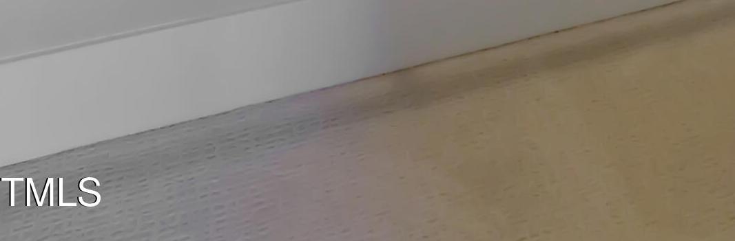 Photo #47