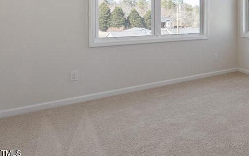 Photo #31