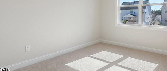 Photo #16
