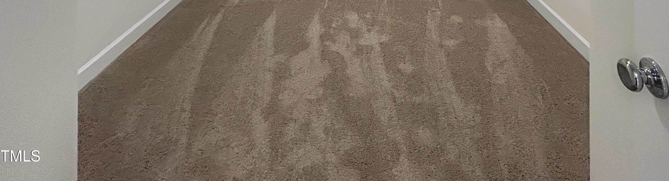 Photo #17