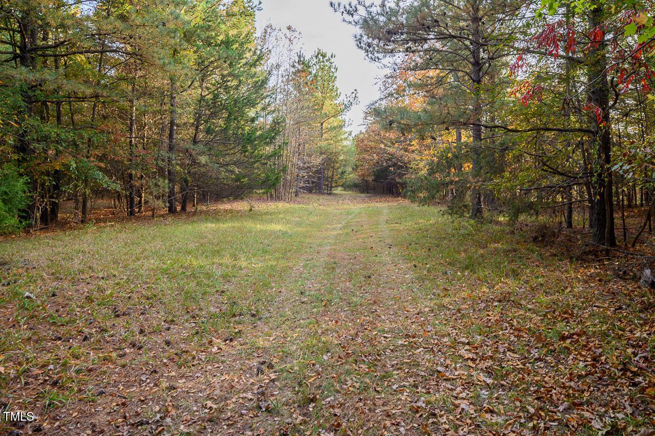 Photo #45