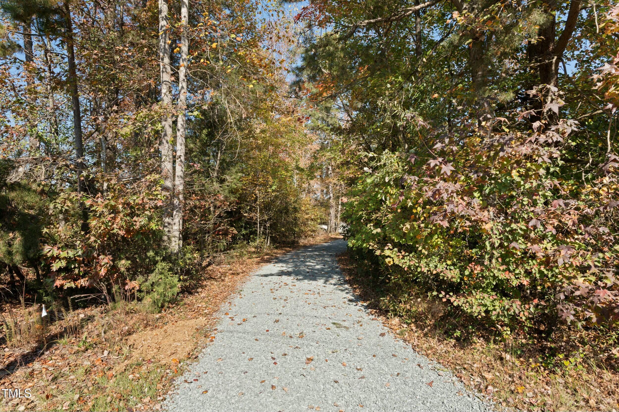 Photo #4