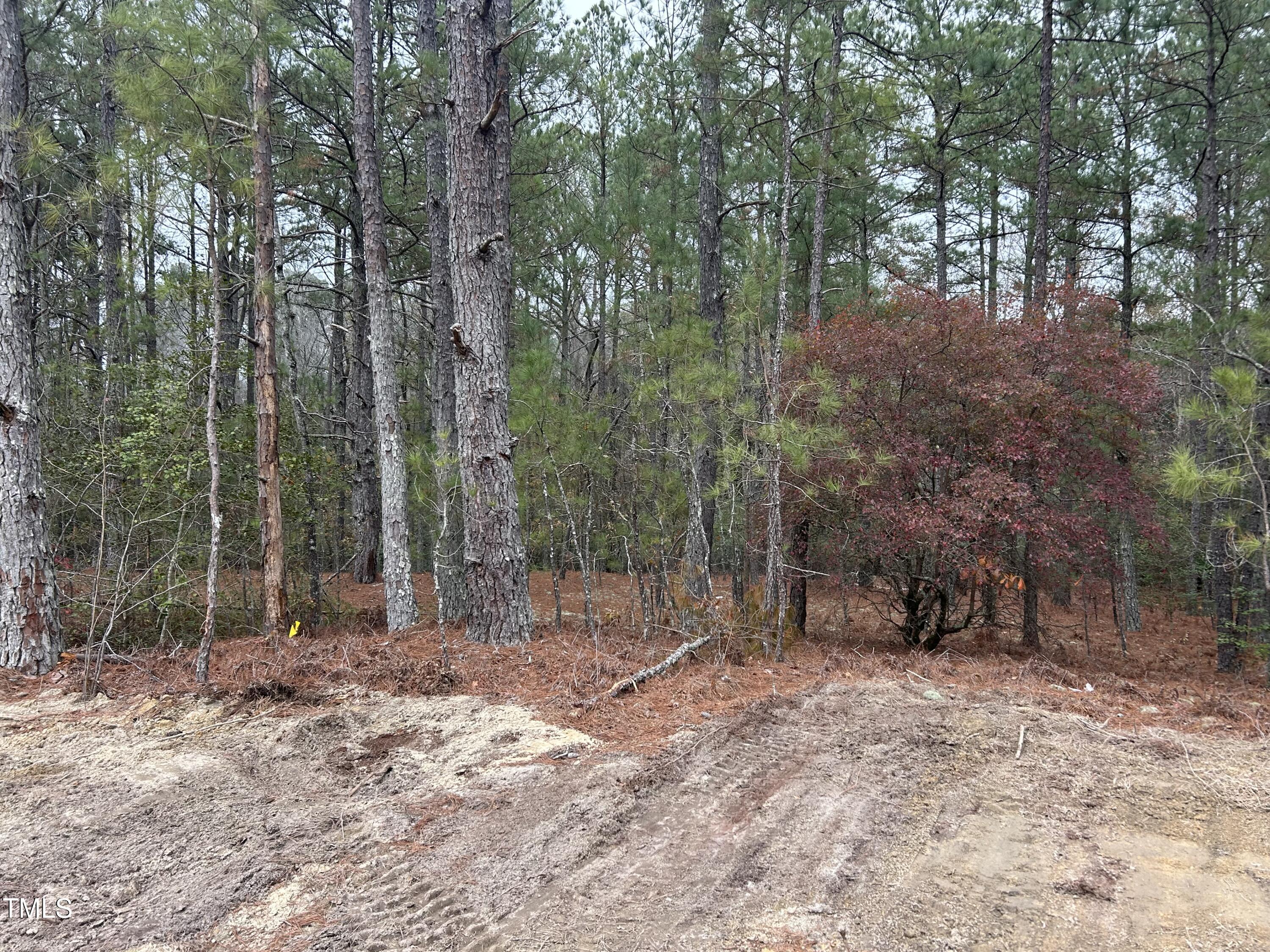 Photo #32
