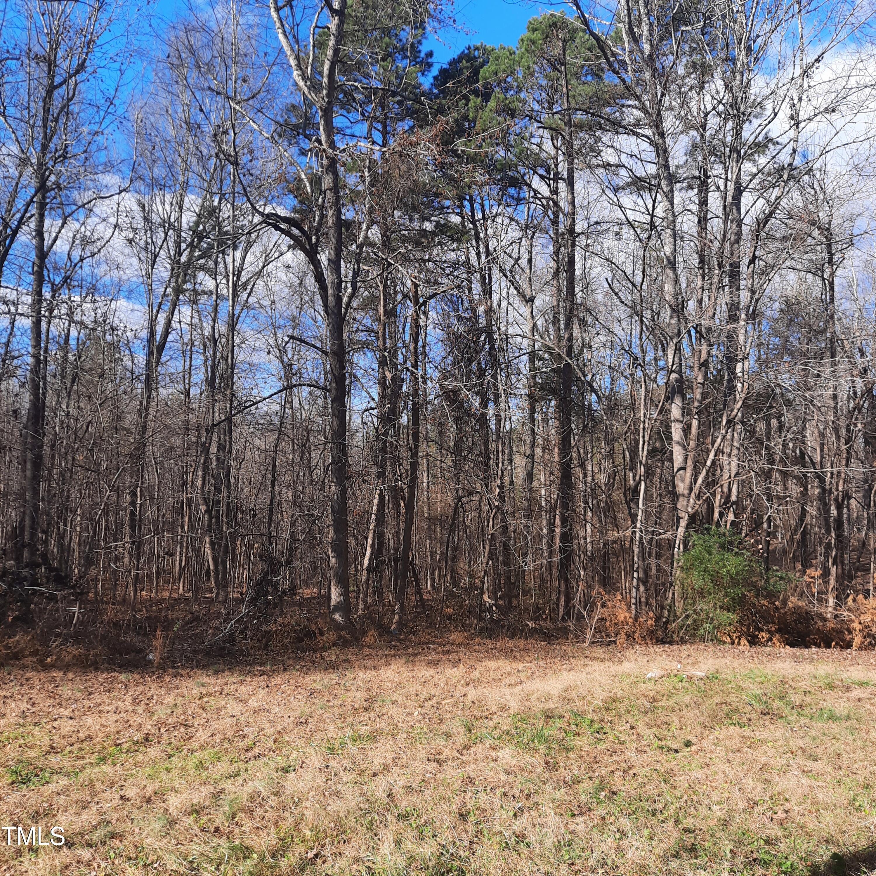 Photo #21