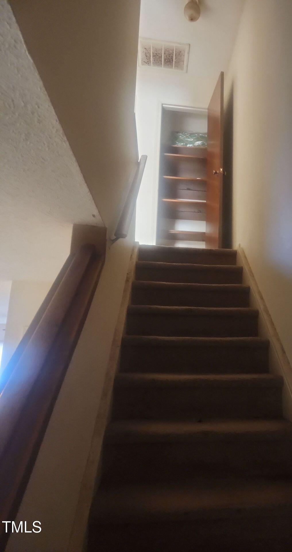 Photo #11