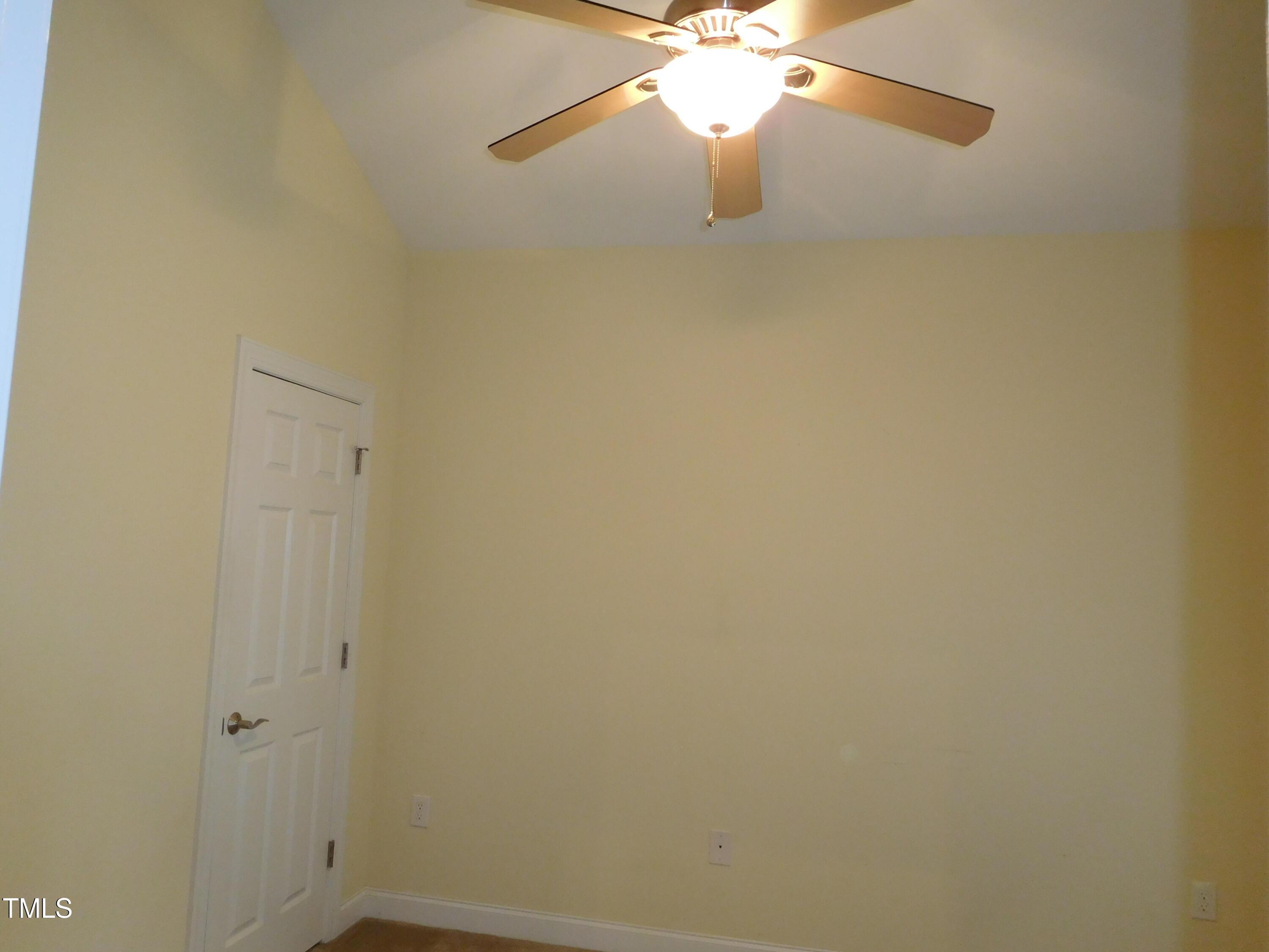 Photo #8