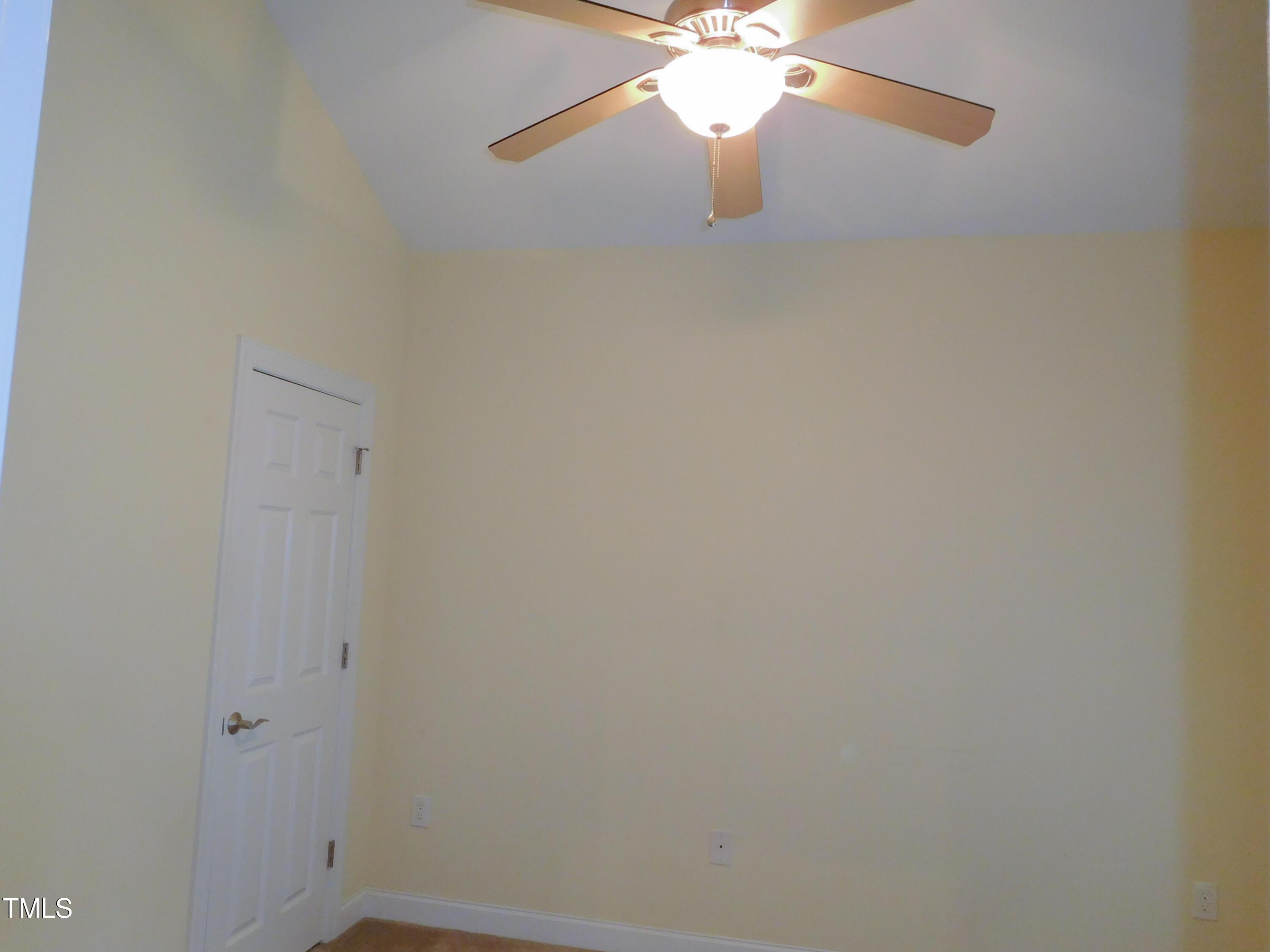Photo #43