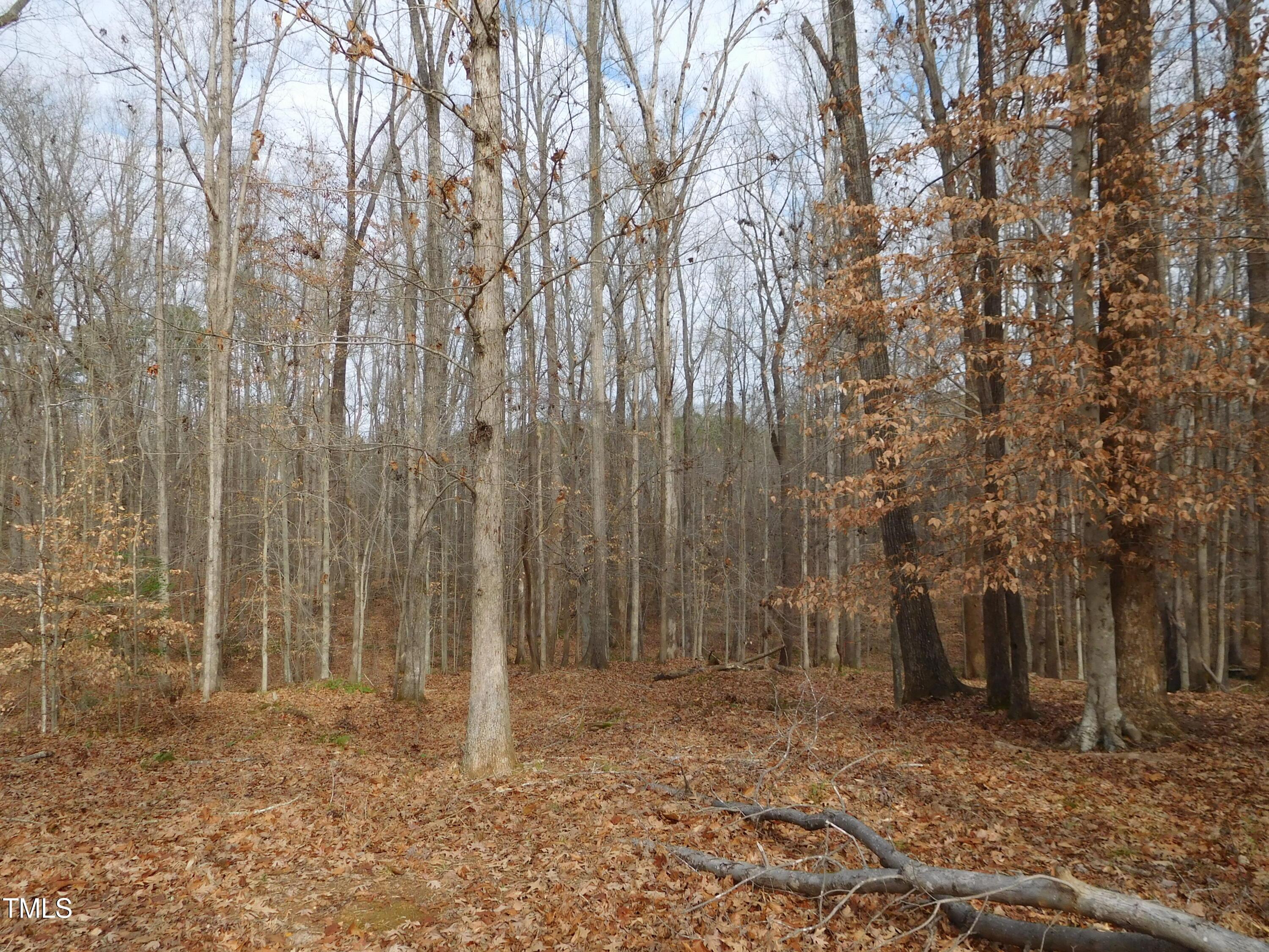 Photo #29