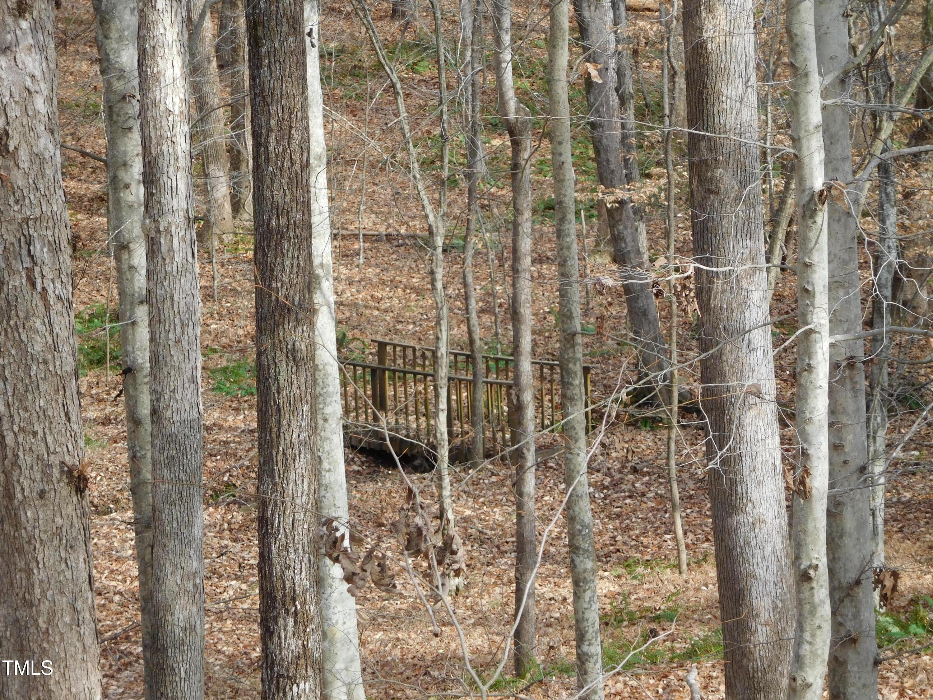 Photo #28