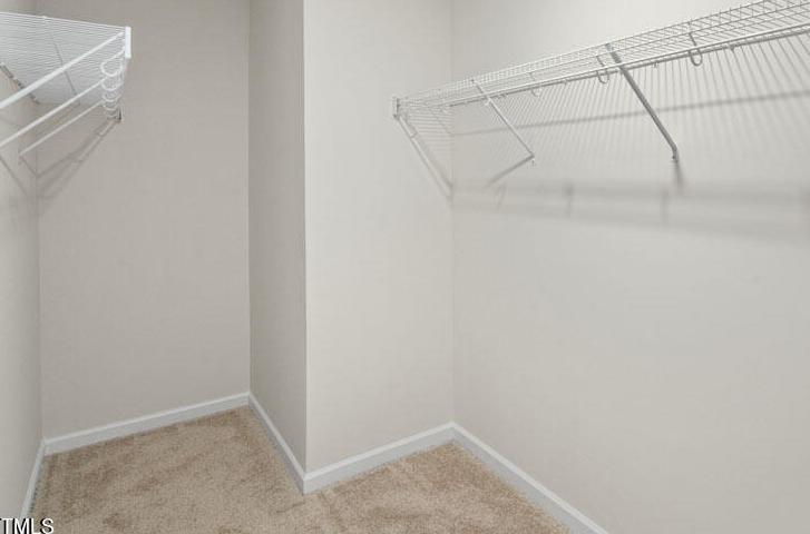 Photo #16