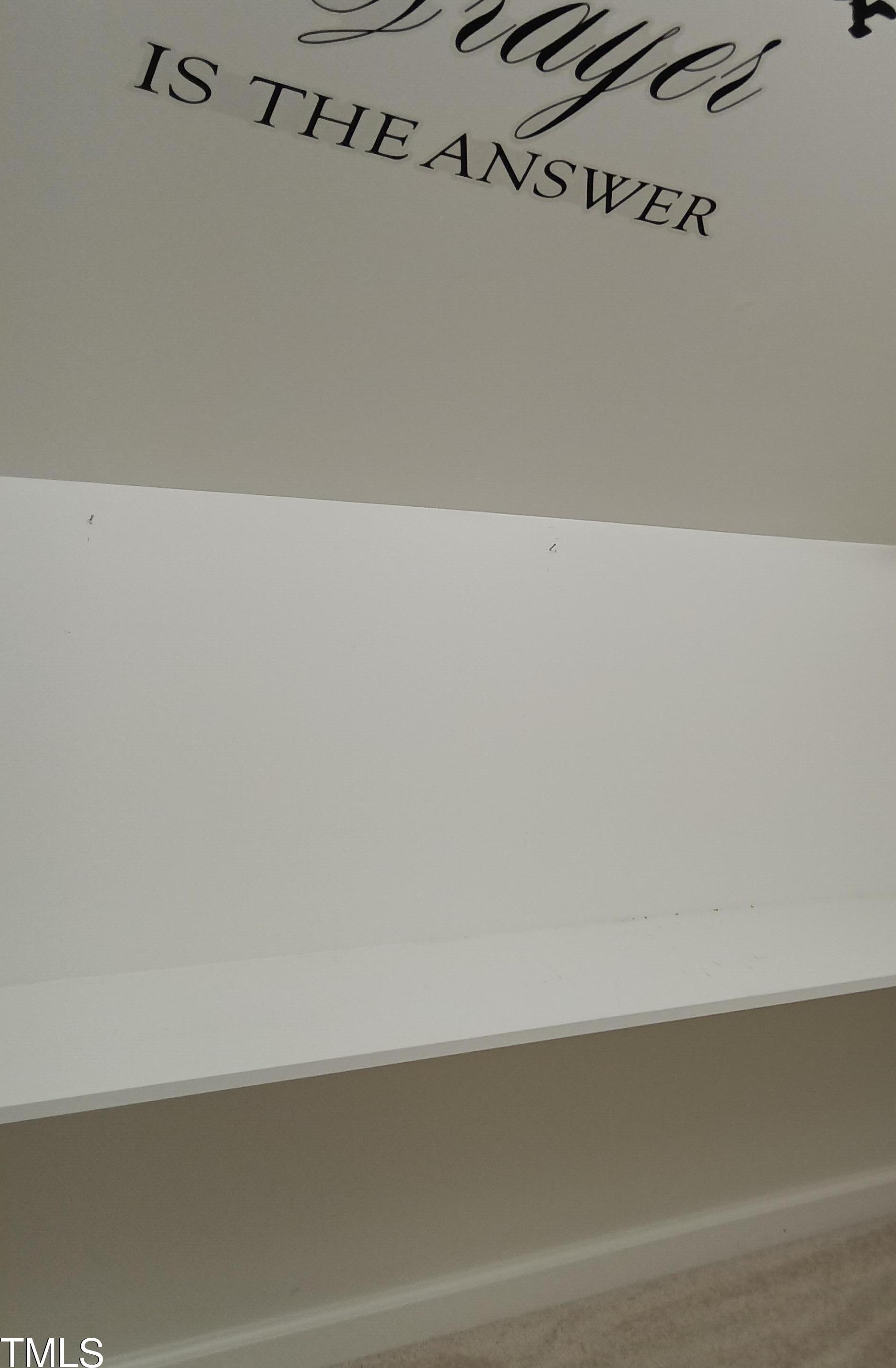 Photo #32