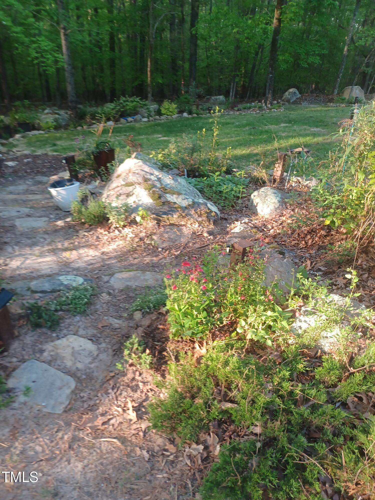 Photo #62