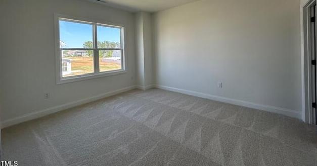 Photo #38