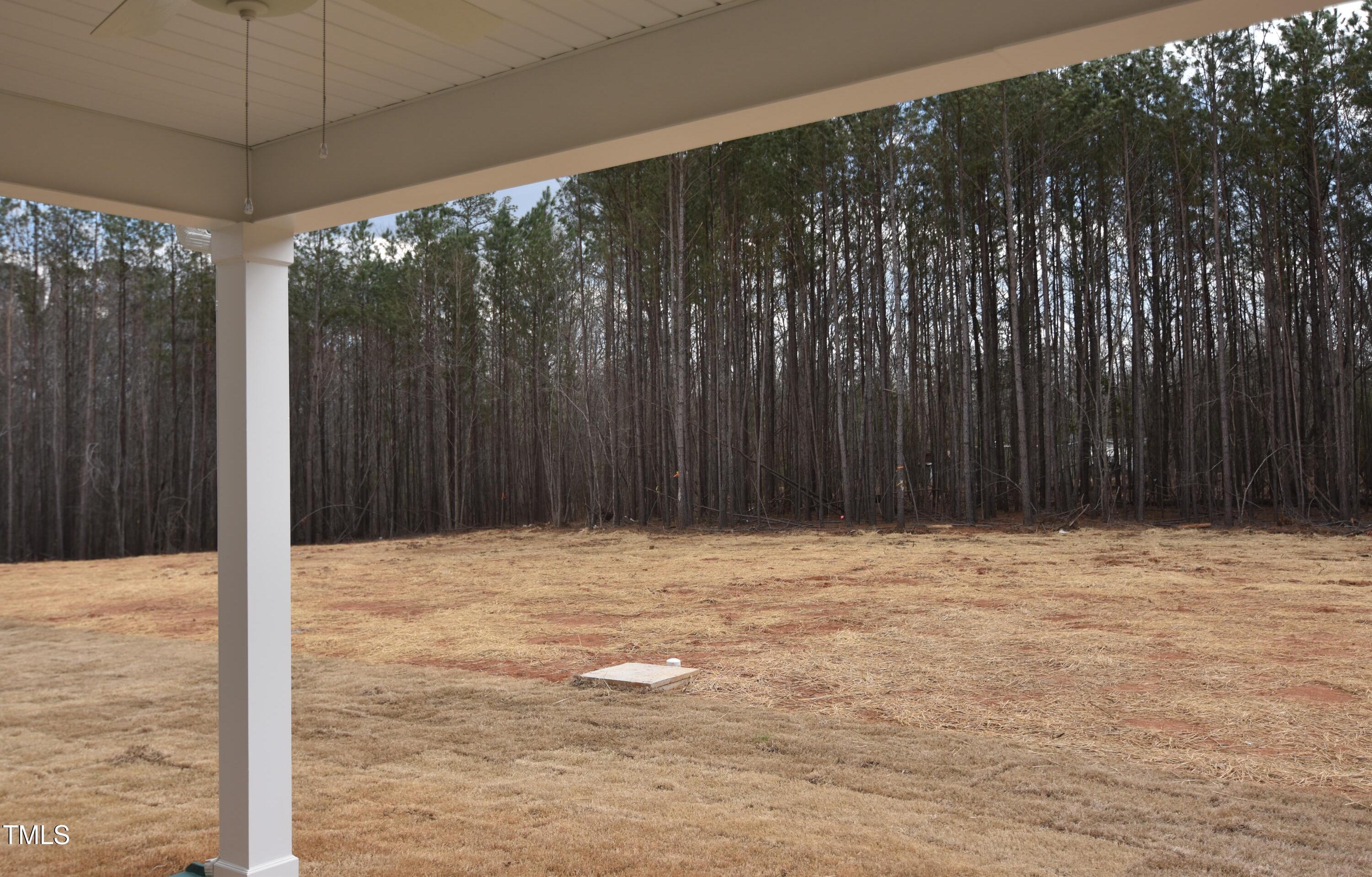 Photo #20