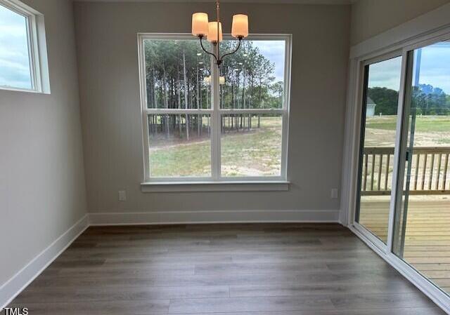 Photo #13