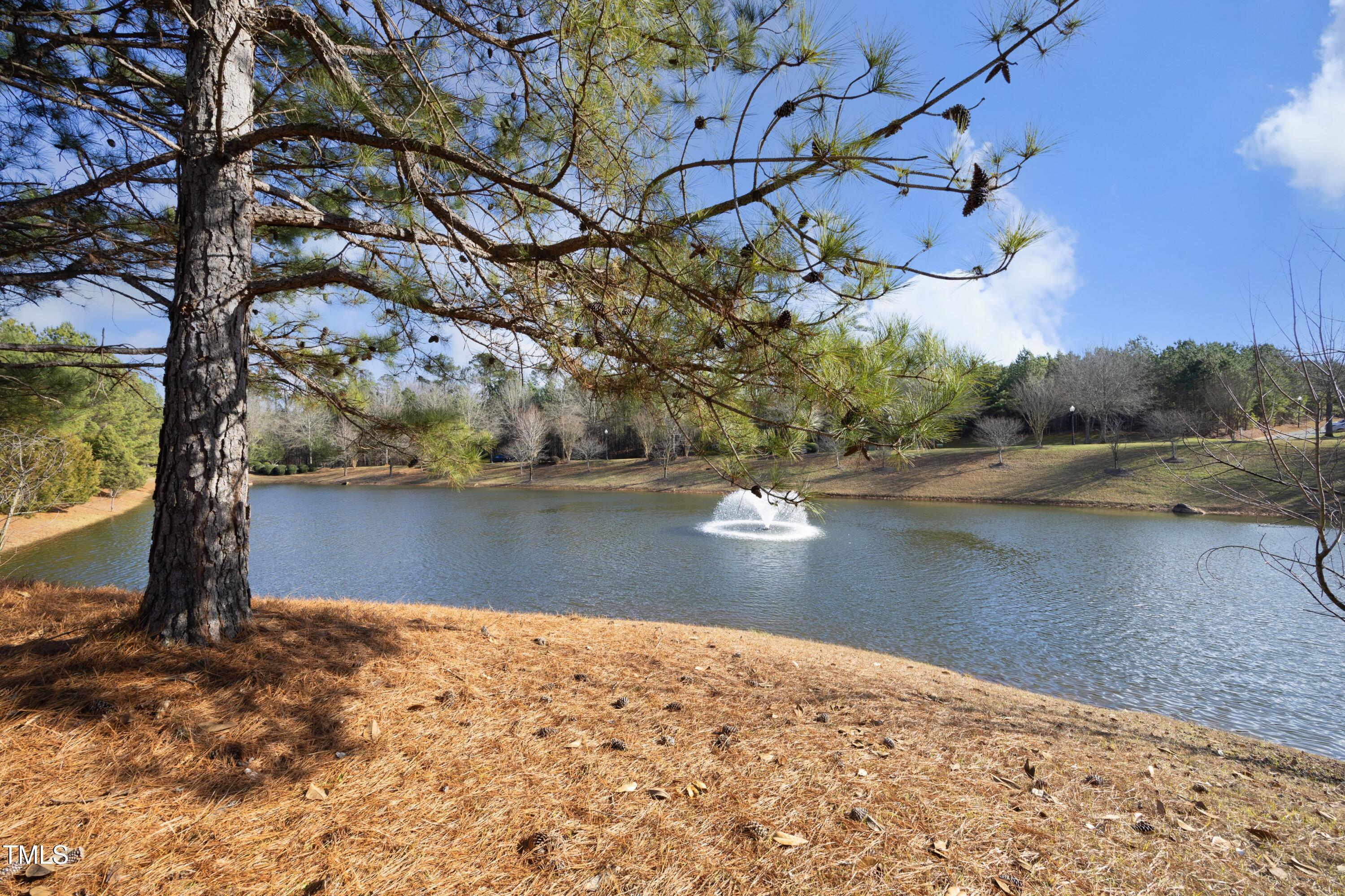 Photo #37