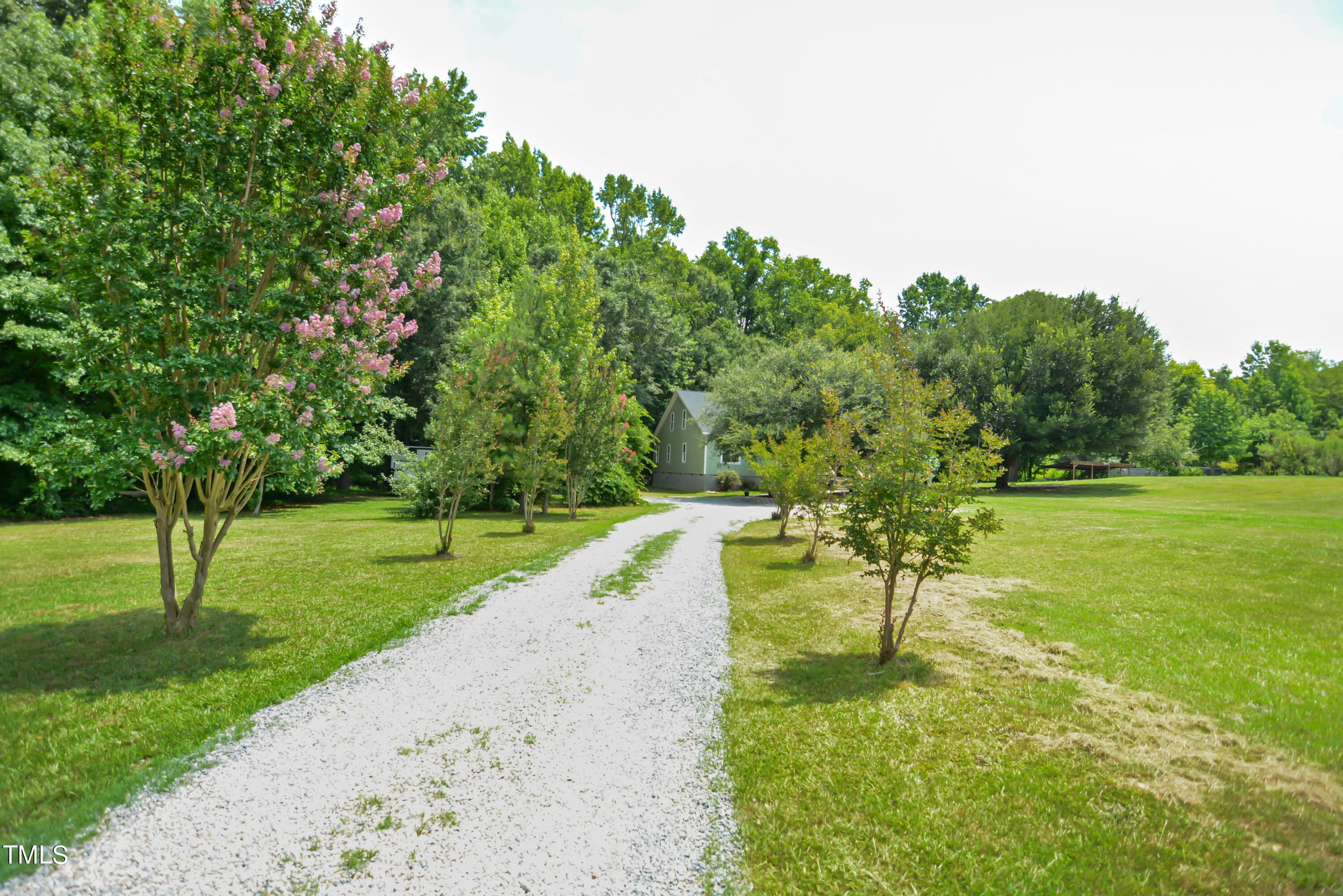 Photo #5