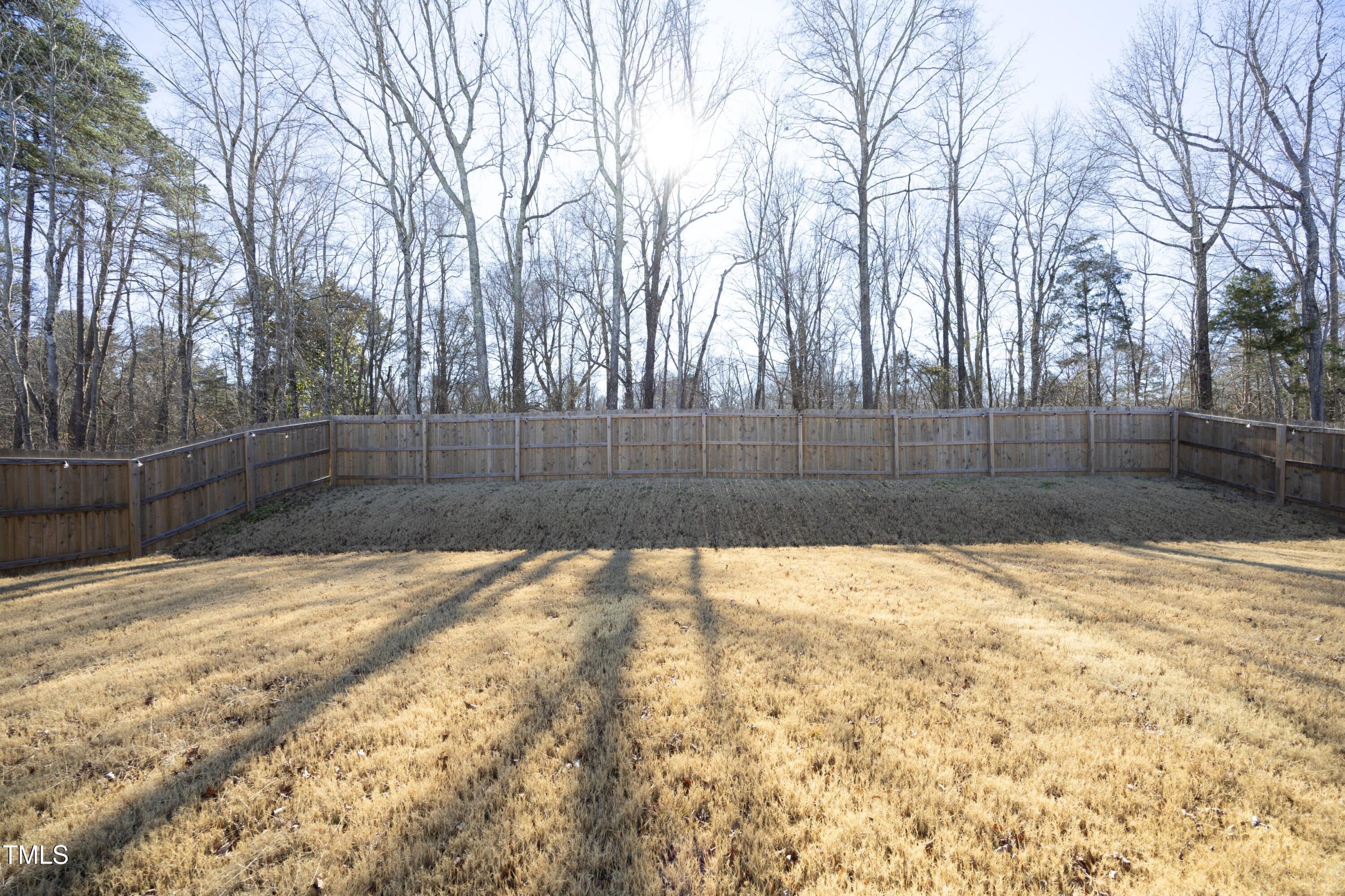 Photo #28