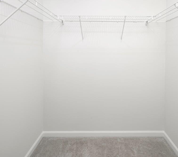 Photo #12