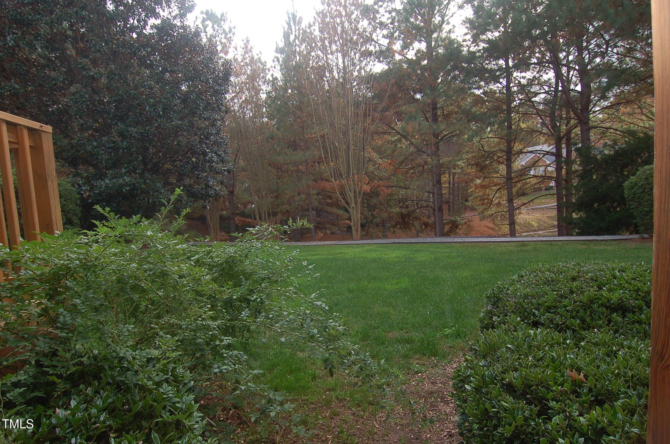 Photo #23