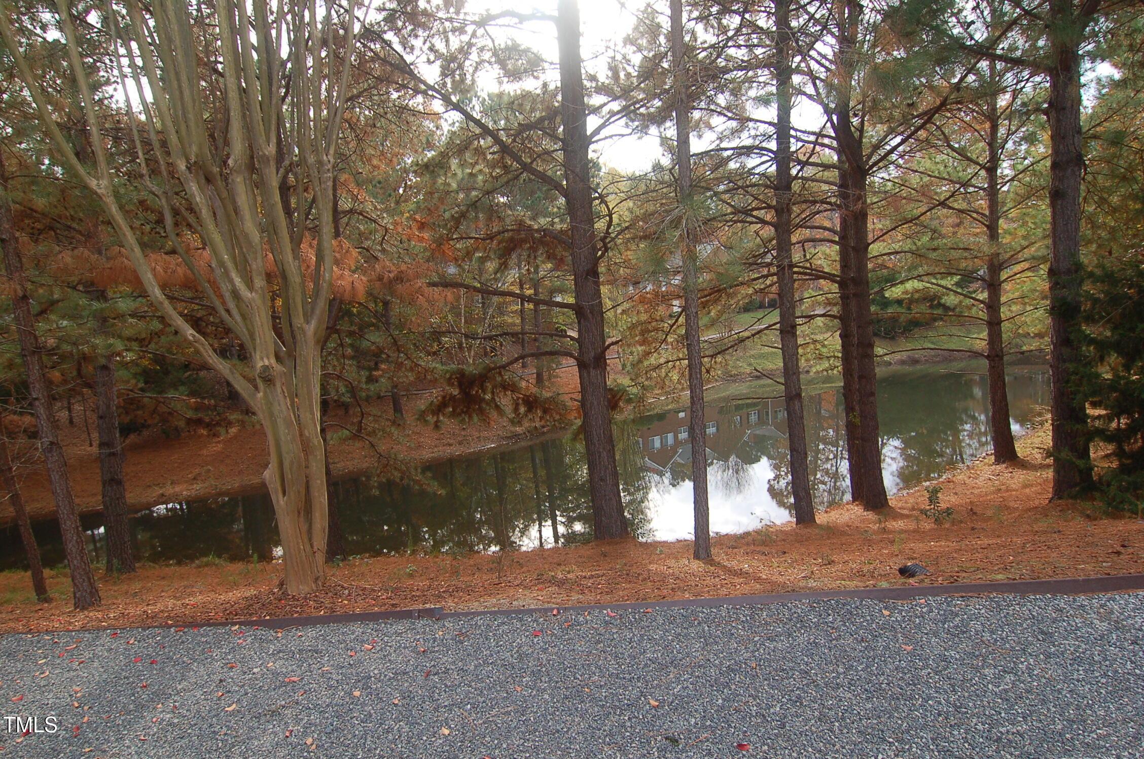 Photo #19