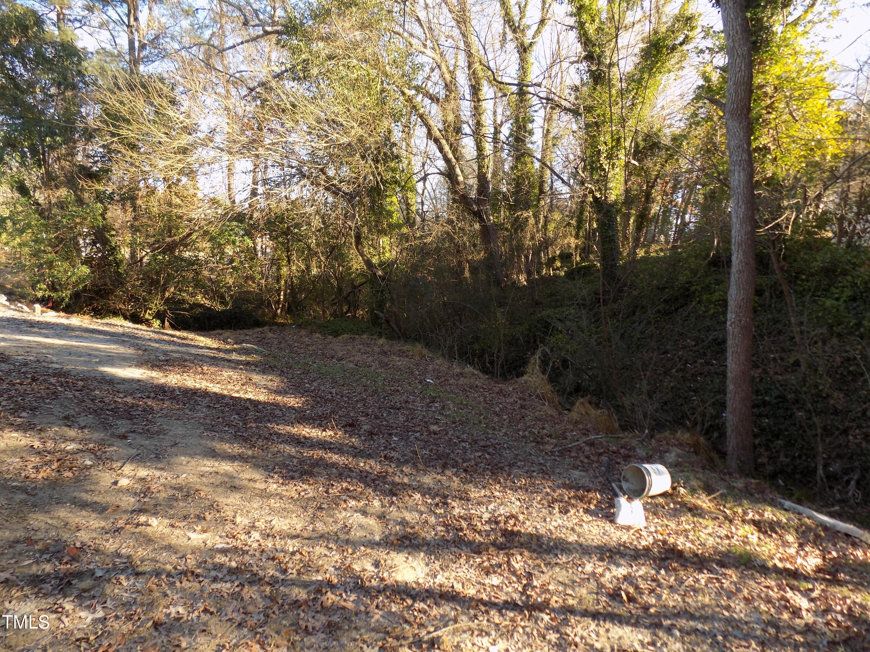 Photo #3