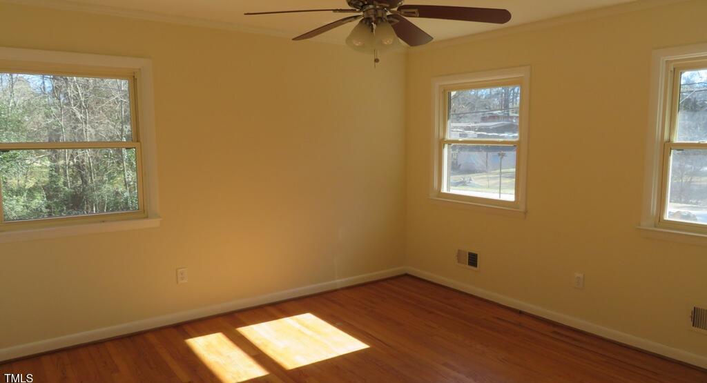 Photo #13