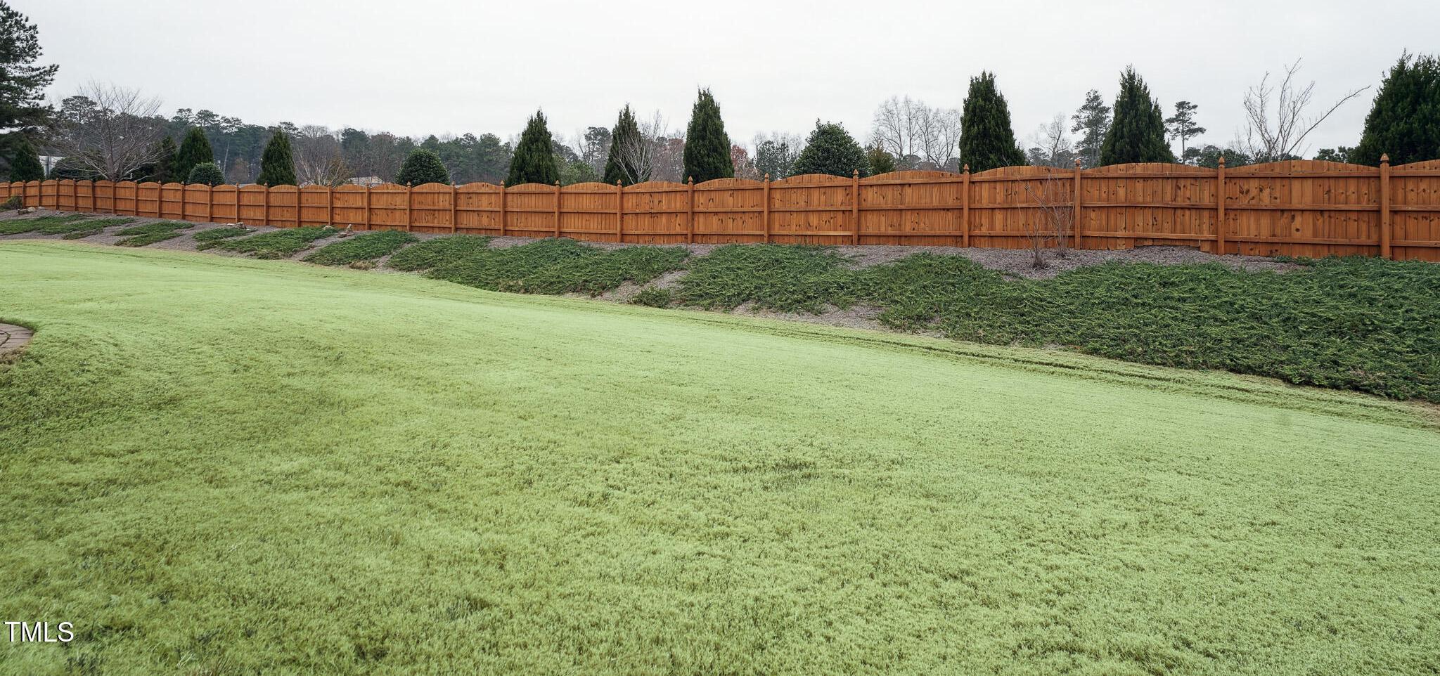 Photo #23