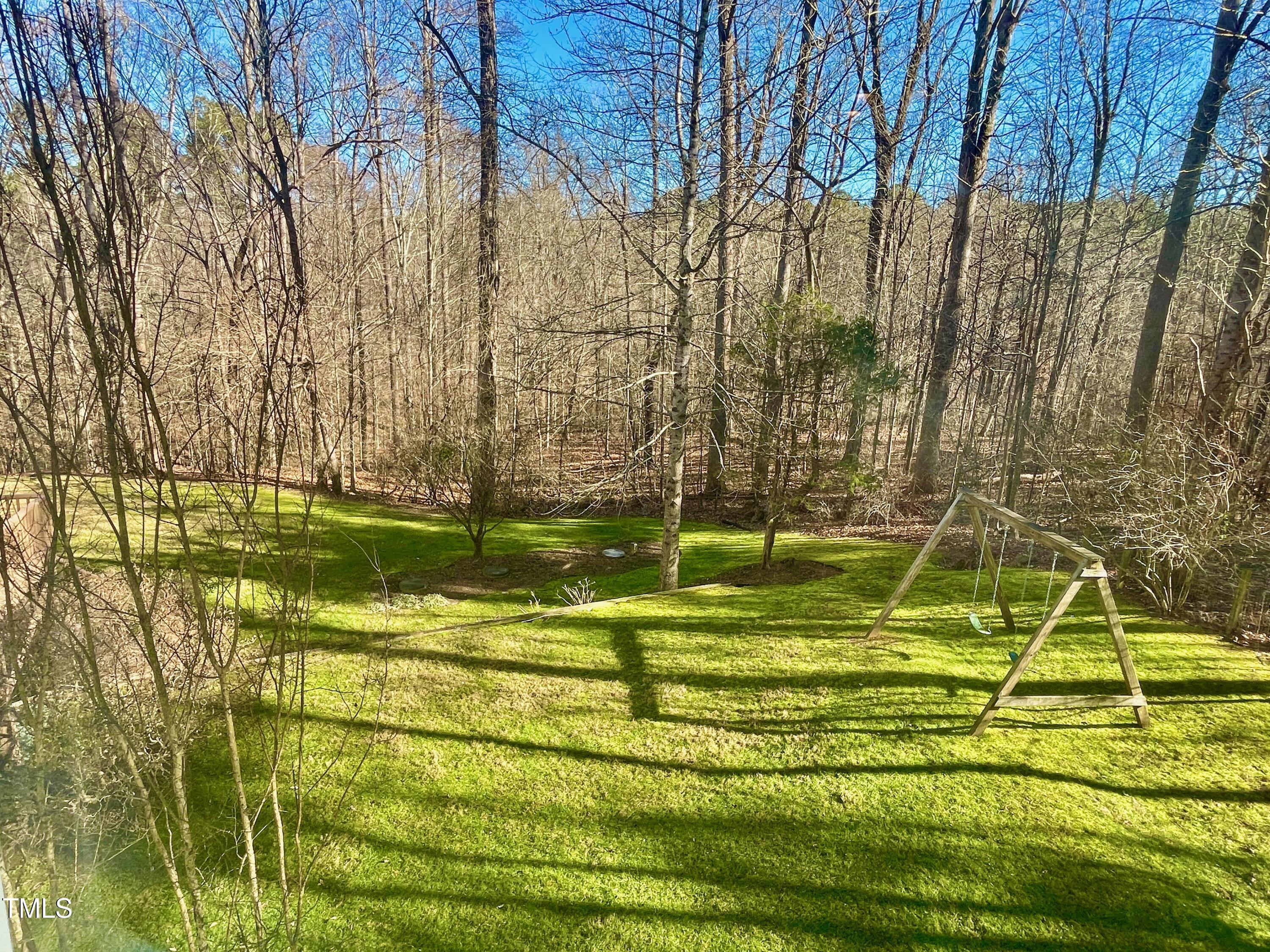 Photo #62