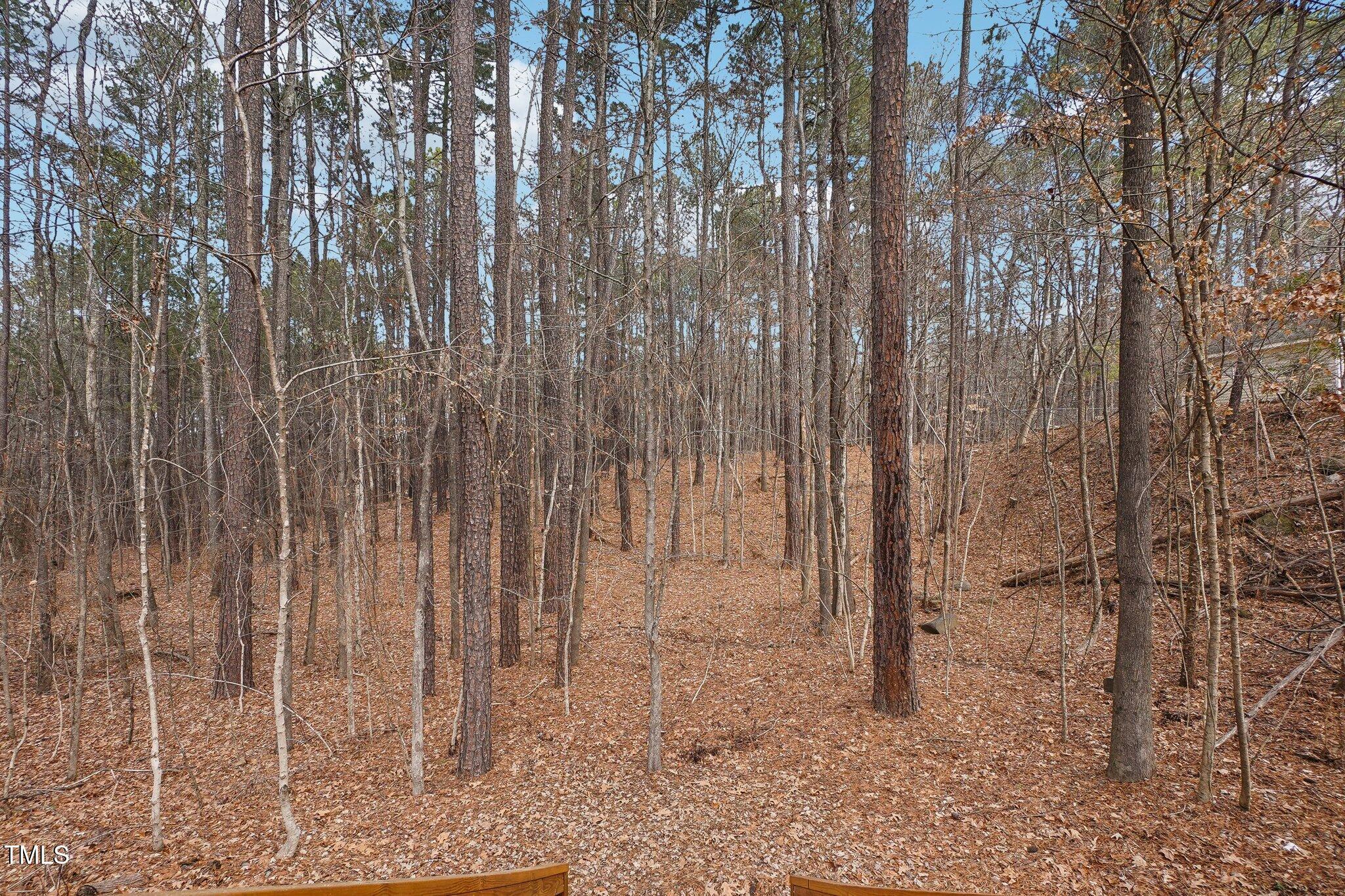 Photo #24
