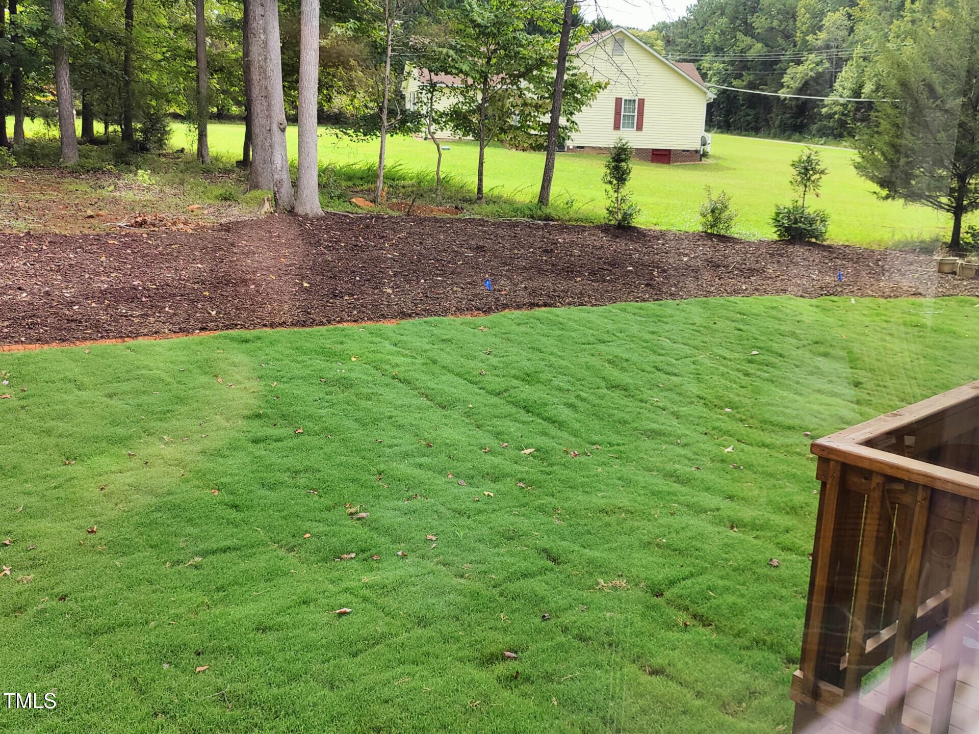 Photo #21