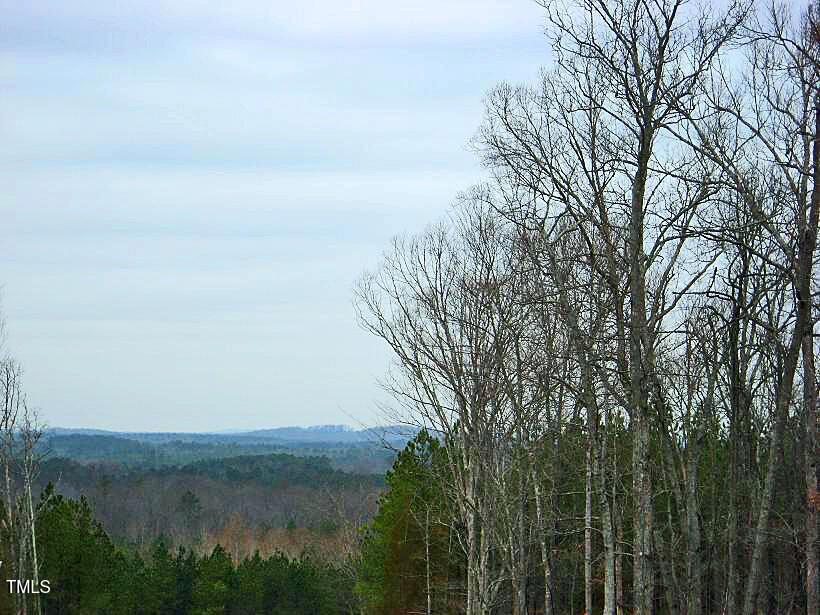 Photo #25