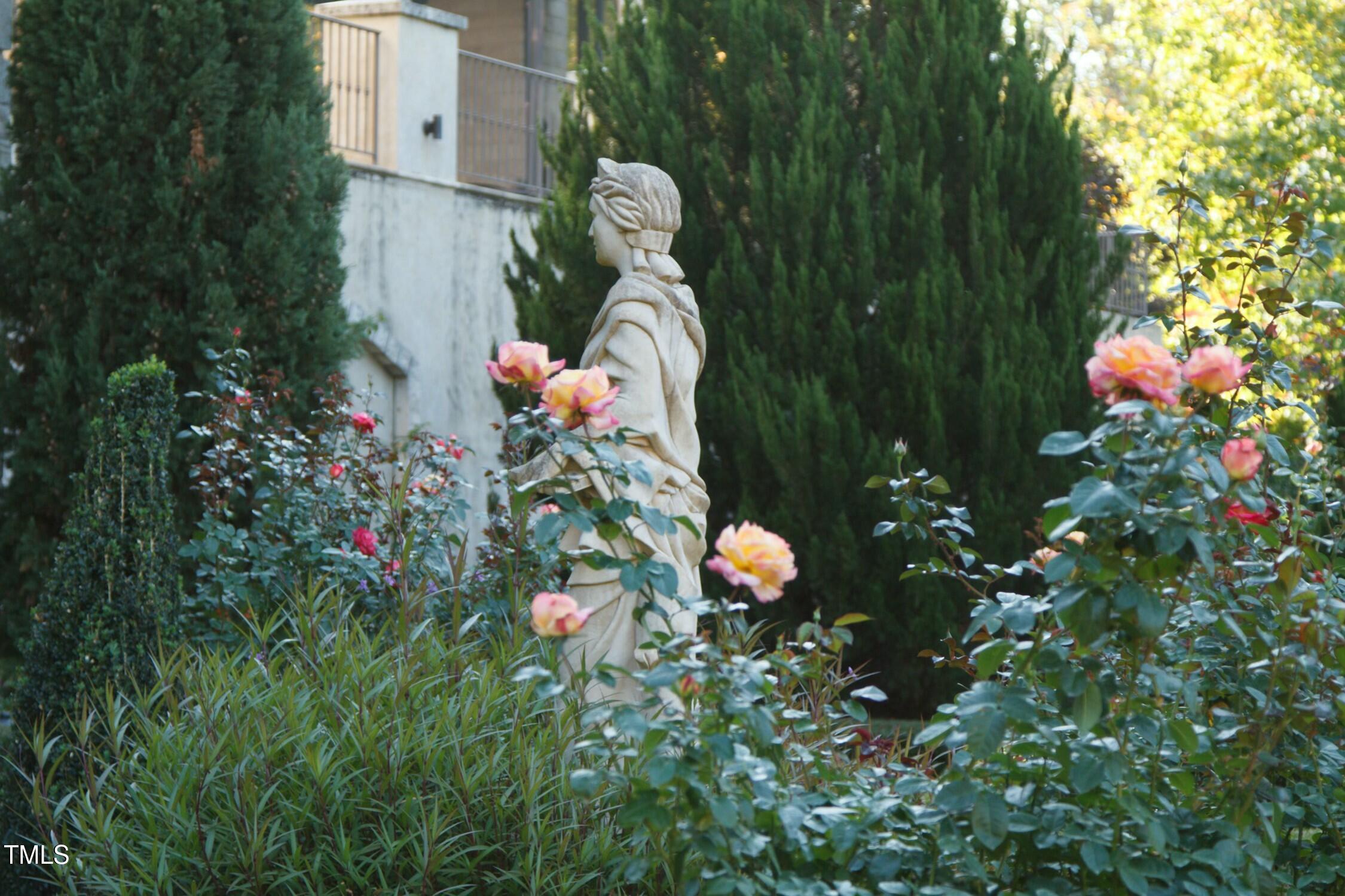 Photo #81
