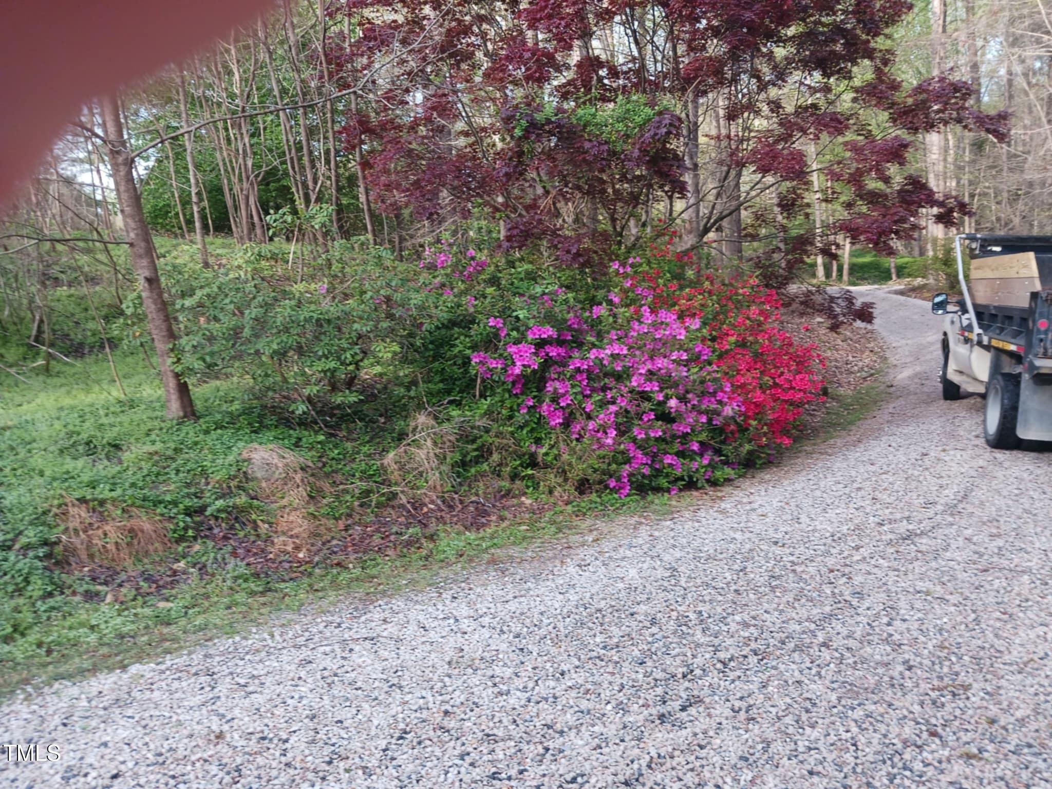 Photo #9