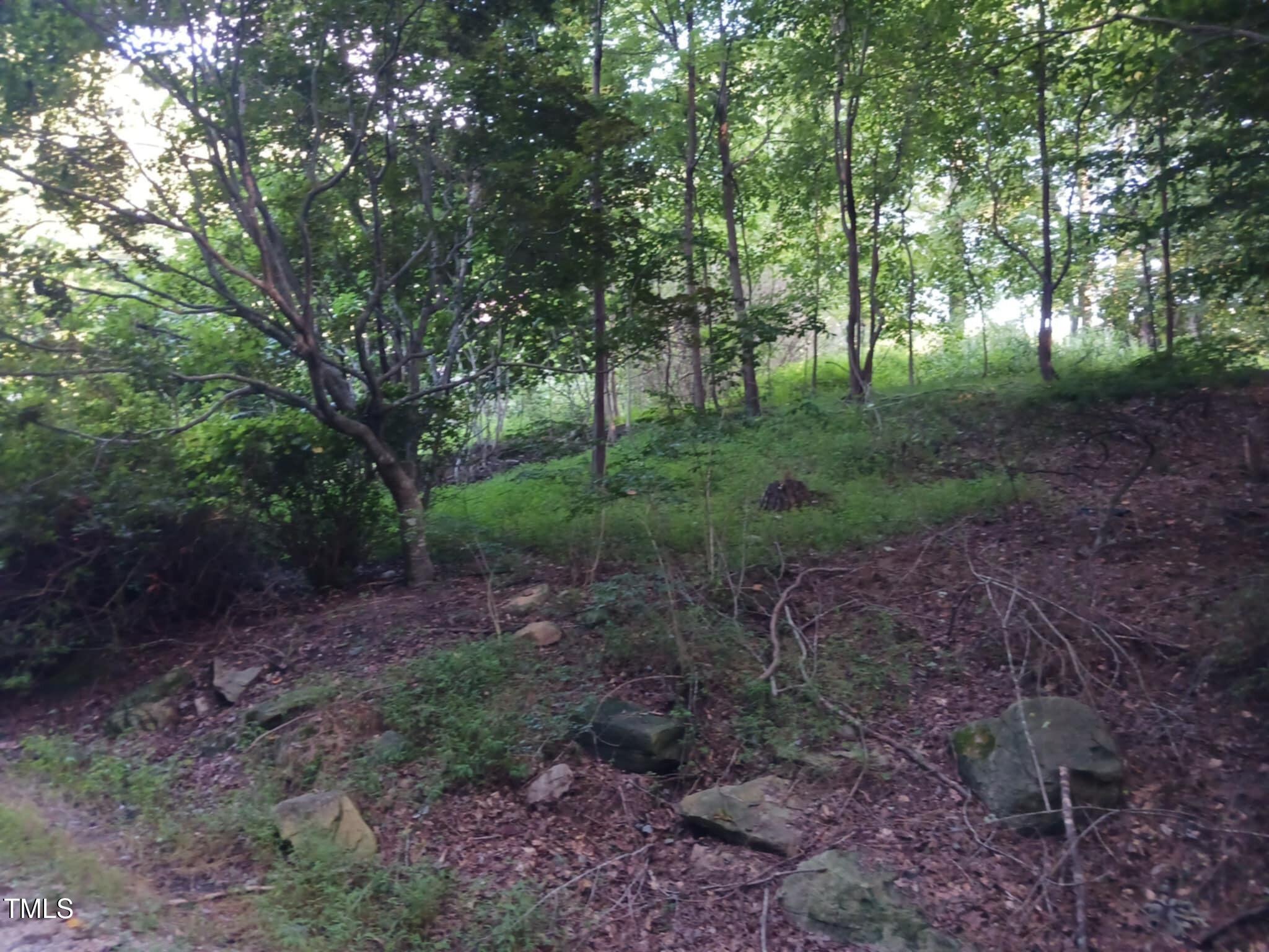 Photo #8