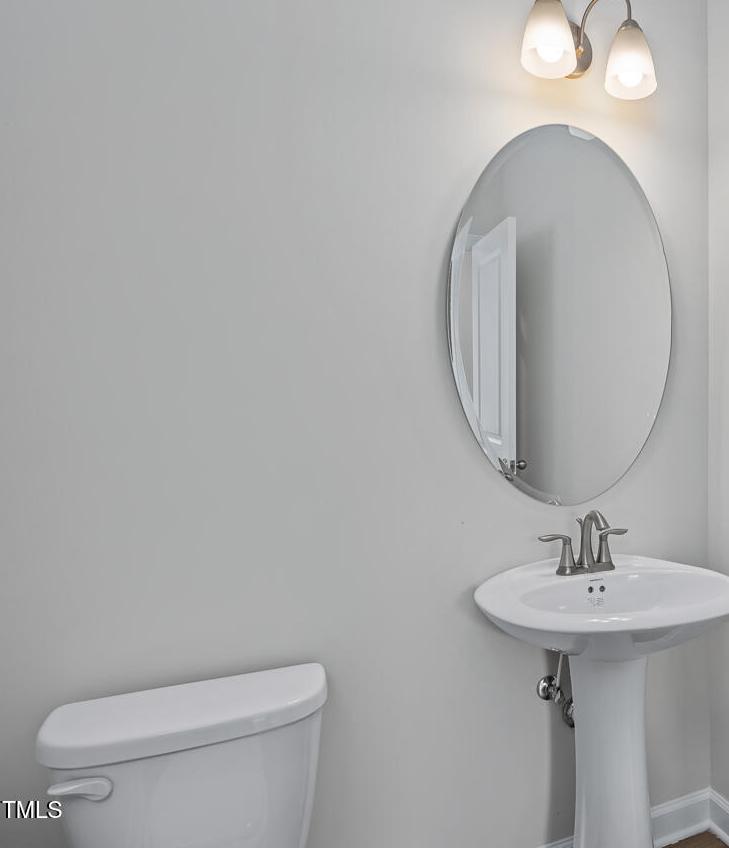 Photo #15