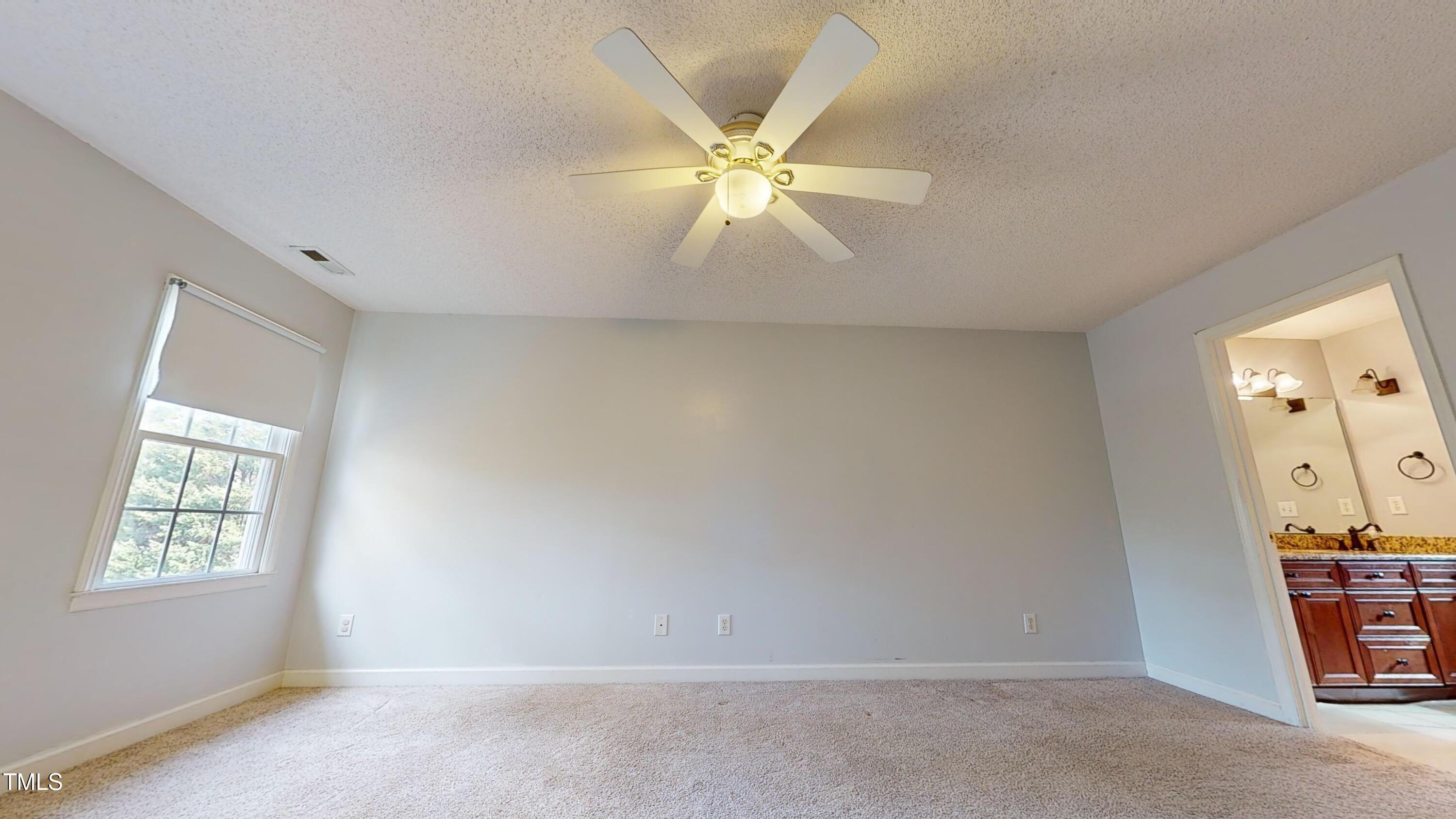 Photo #12