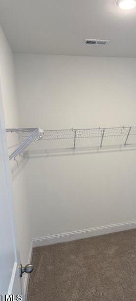 Photo #11