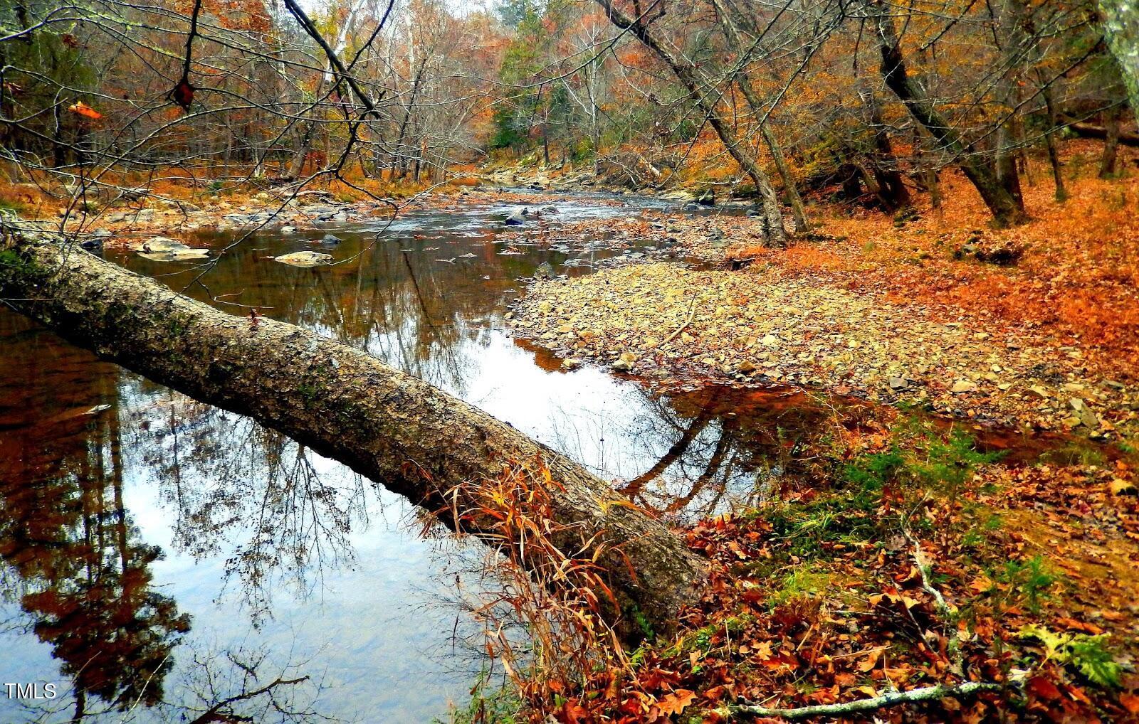 Photo #17